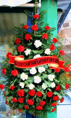 coroana
